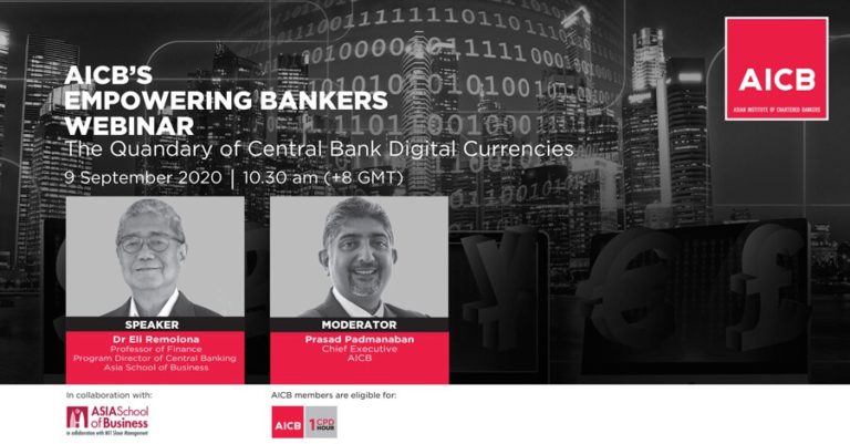 The Quandary of Central Bank Digital Currencies